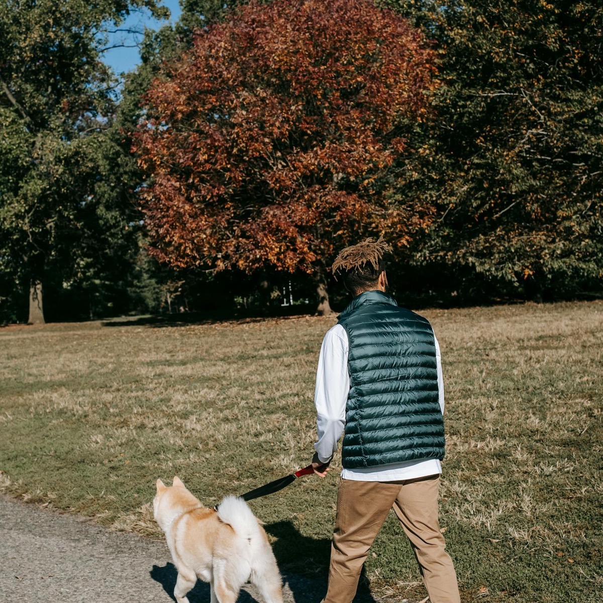Hondenoppas loopt met een hond in het park