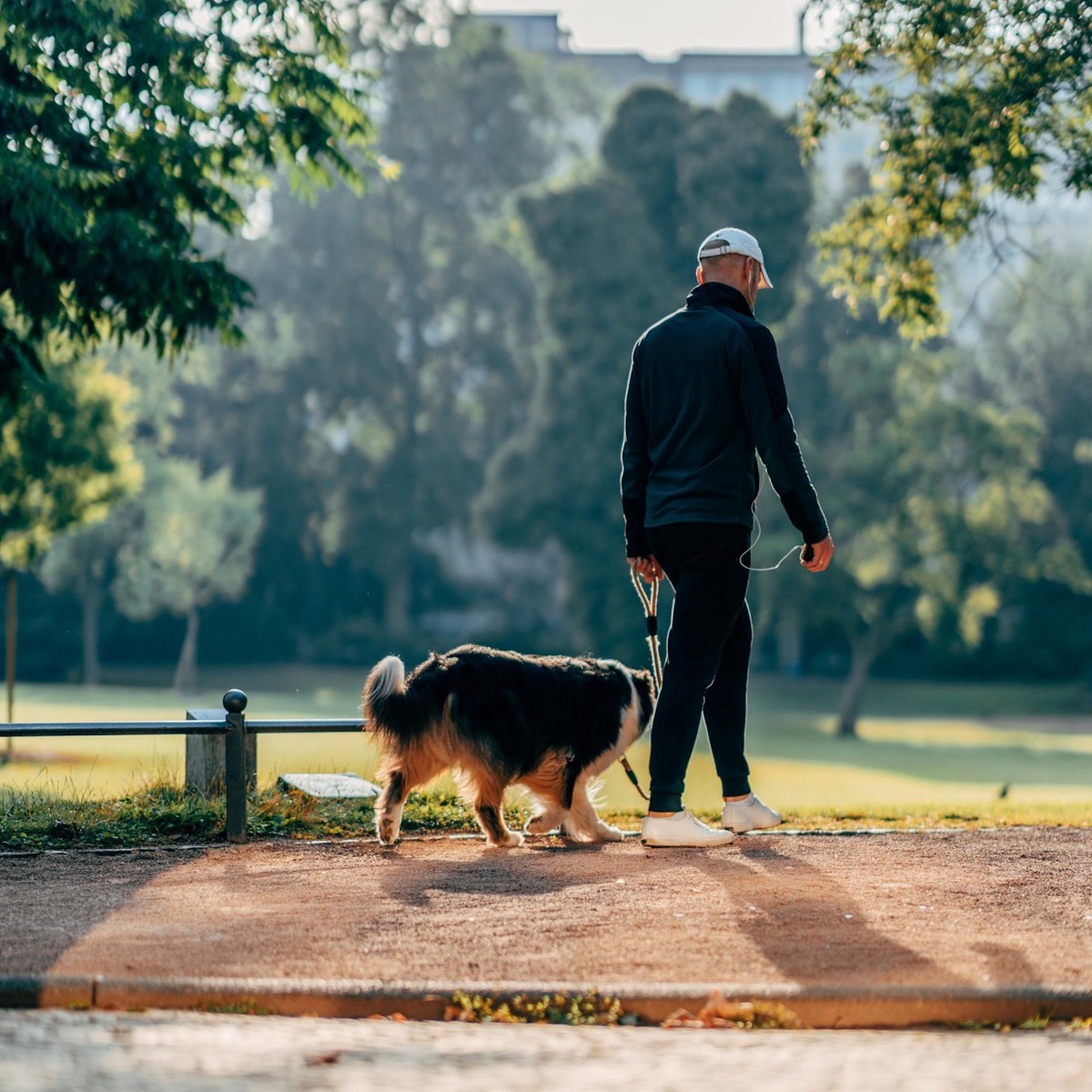 Hond uitlaten in de buurt als kleine hulpvraag