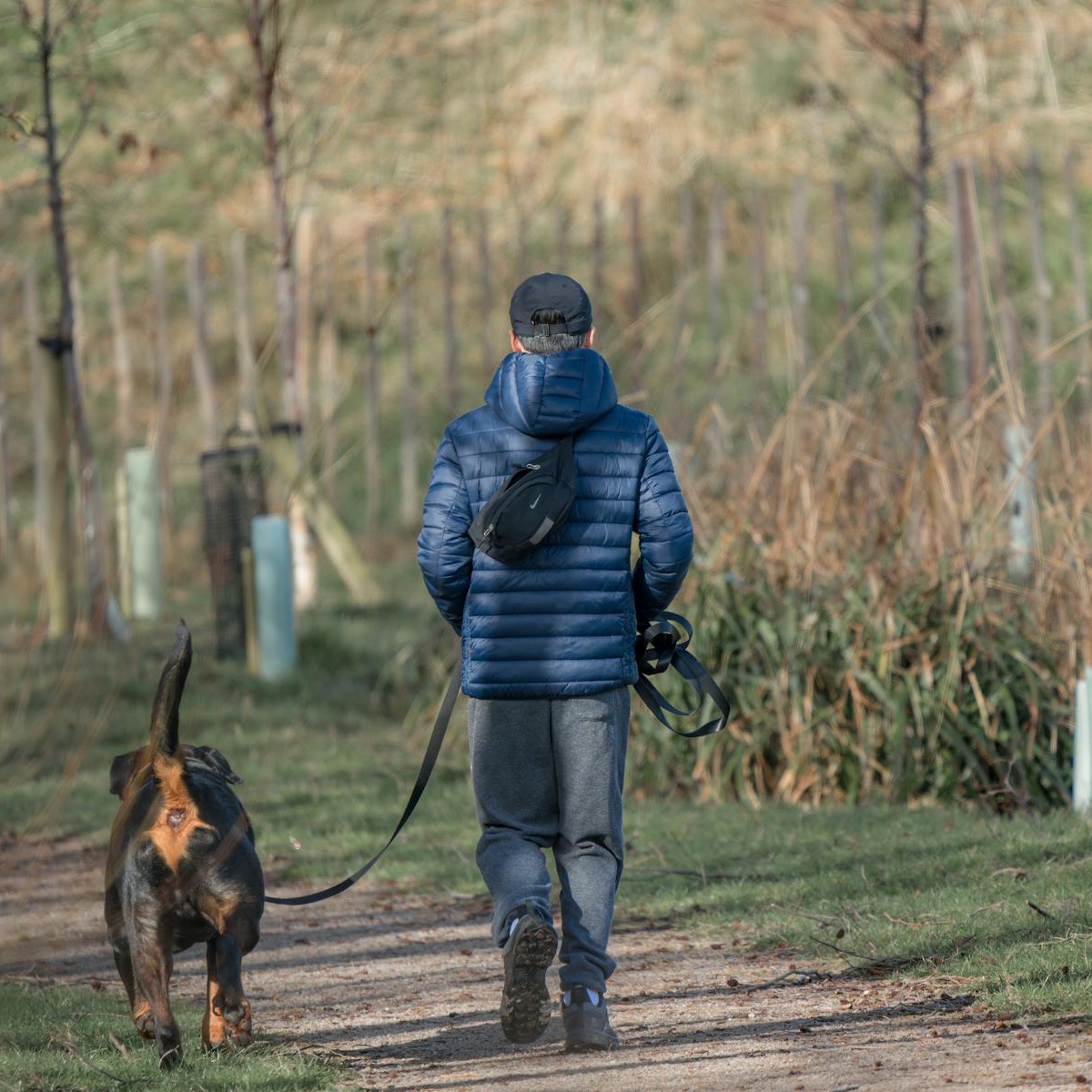 Wandeling met hond over een groen pad