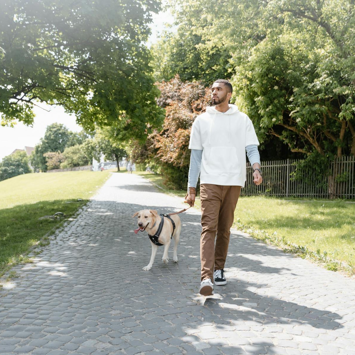Iemand laat een hond uit in een park in Amsterdam