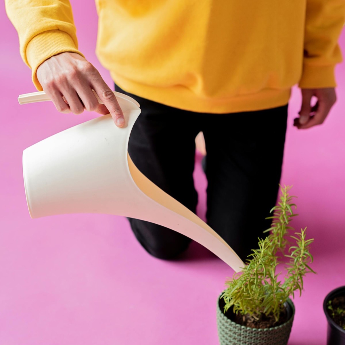 Hulp bij planten verzorgen en kleine klusjes in huis