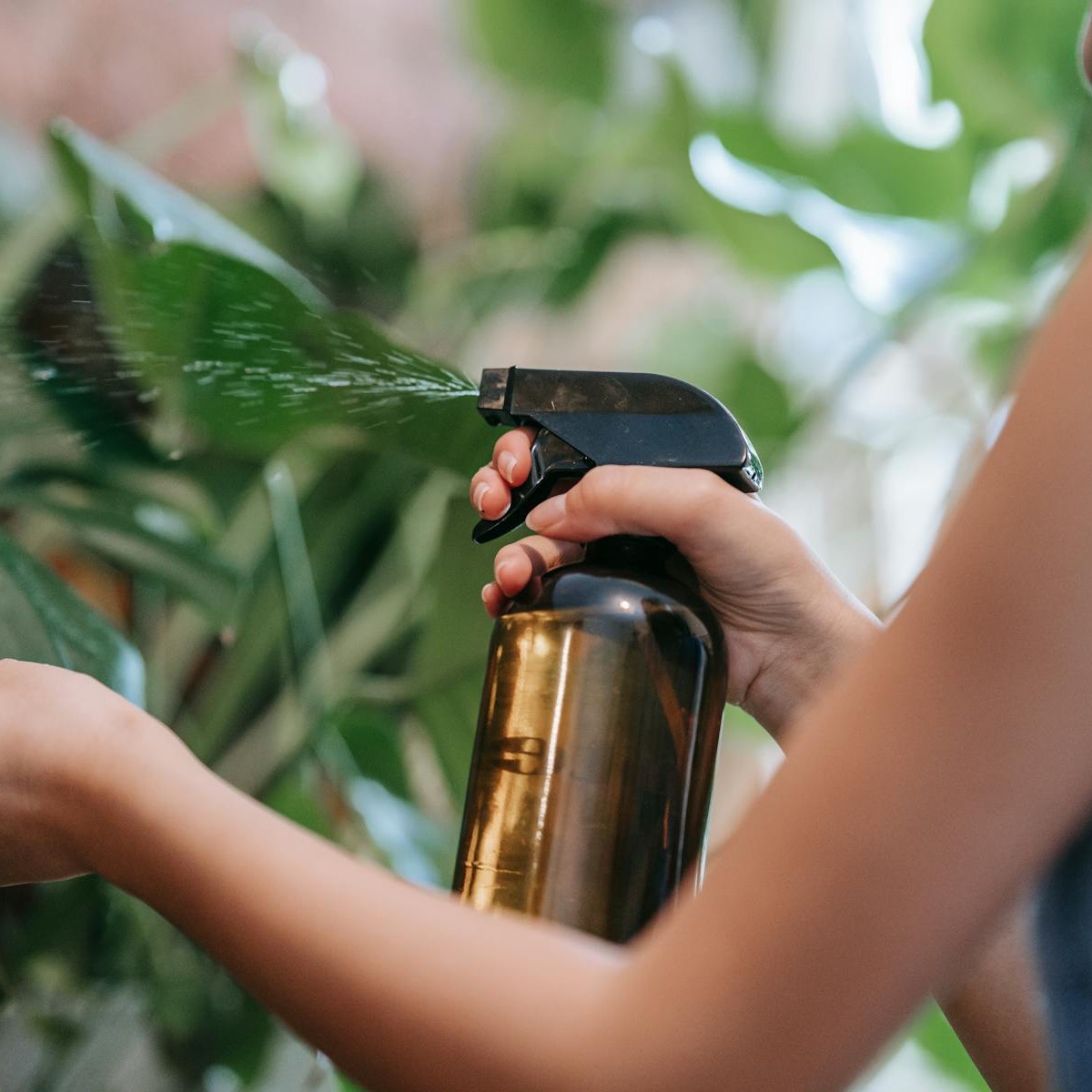 Iemand geeft planten water in de tuin